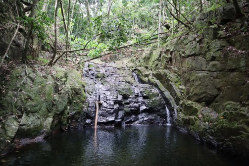 Grande Tarde Waterfall - Grande Tarde Waterfall Mahé