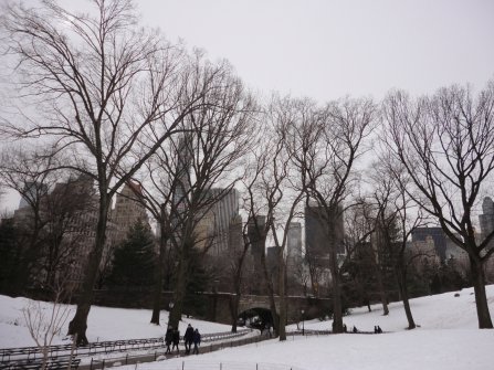 Central Park Manhattan