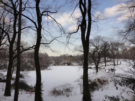 Gapstow Bridge sous la neige - Central Park Manhattan