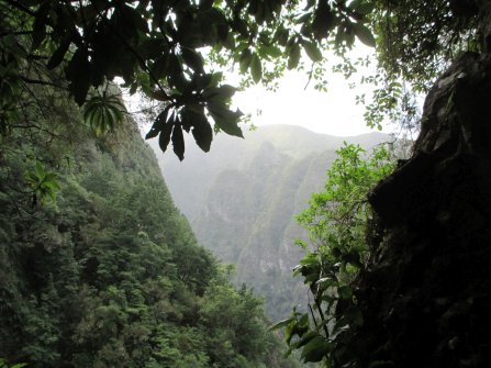 Randonnée PR9 Levada do Caldeirão Verde Santana