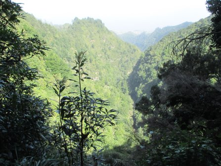 Vue sur la vallée depuis le chemin. - Randonnée PR9 Levada do Caldeirão Verde Santana