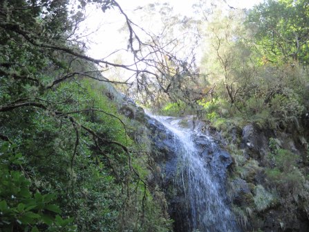 Randonnée PR9 Levada do Caldeirão Verde Santana