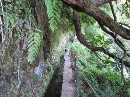 Levada - Randonnée PR9 Levada do Caldeirão Verde Santana