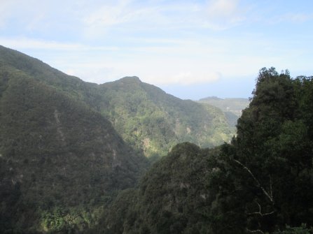 Randonnée PR9 Levada do Caldeirão Verde Santana