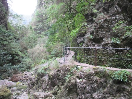 Aperçu du chemin. - Randonnée PR9 Levada do Caldeirão Verde Santana