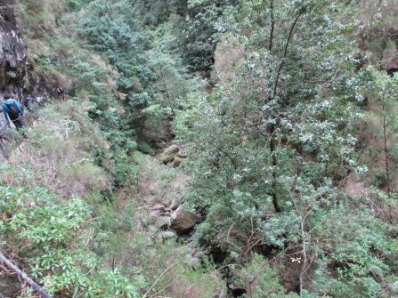 Randonnée PR9 Levada do Caldeirão Verde Santana