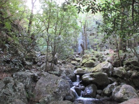 Randonnée Levada dos Cedros - Fanal (PR14) À proximité de Seixal