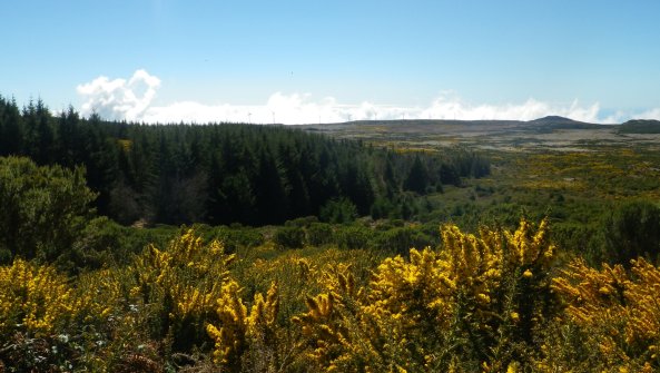 Sommet de Bica da Cana Unhais da Serra