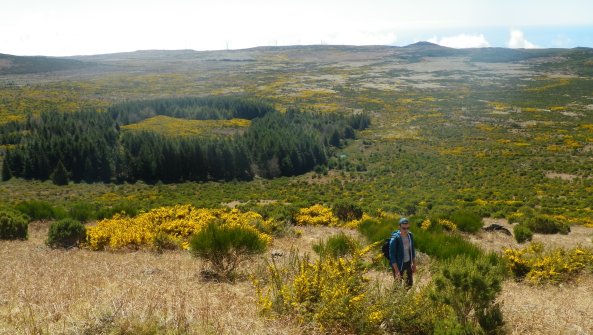 Sommet de Bica da Cana Unhais da Serra