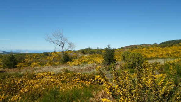 Sommet de Bica da Cana Unhais da Serra