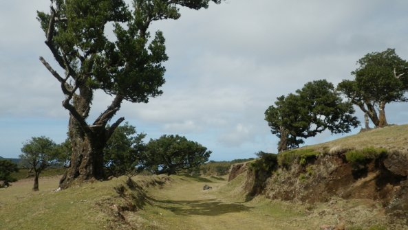 Lagoa do Fanal À proximité de Seixal