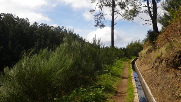 Randonnée de Levada da Ponta do Pargo Ponta do Pargo