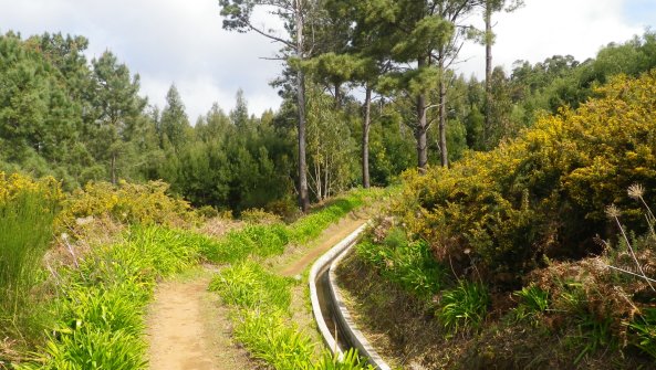 Randonnée de Levada da Ponta do Pargo Ponta do Pargo