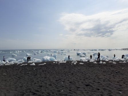 Fjord de Jökulsárlón 