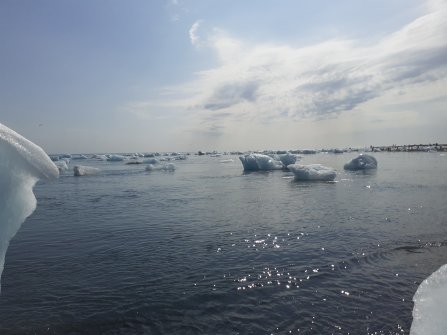 Fjord de Jökulsárlón 