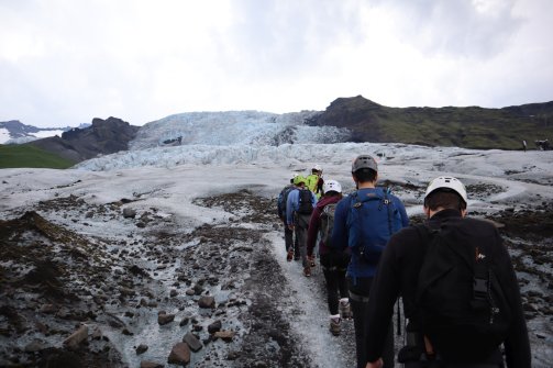 Glacier de Falljökull 