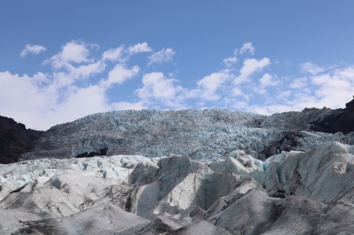 Glacier de Falljökull 