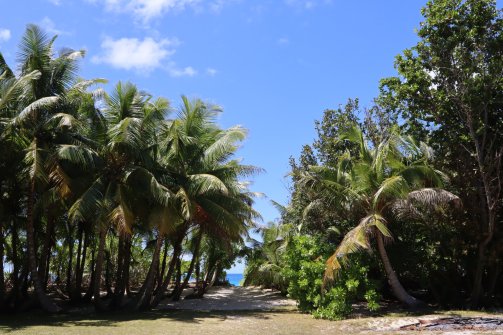 À la découverte de la plage cachée de Grande-Sœur - Excursion en bateau Îles Grande-Soeur, Cocos et Felicite 