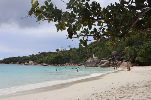 Anse Lazio Plage à Praslin