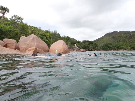 Anse Lazio Plage à Praslin