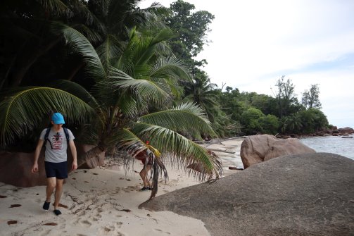 Anse Badamier - Visite de Curieuse 