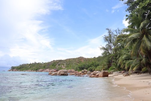 Anse Badamier - Visite de Curieuse 