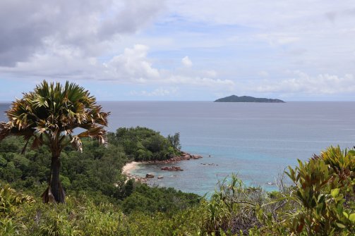 Anse Badamier - Visite de Curieuse 