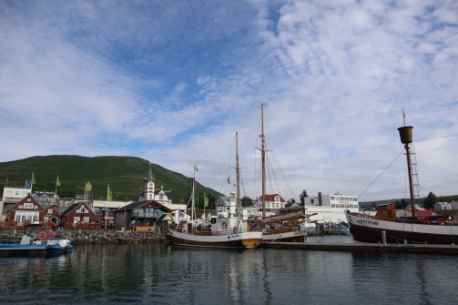 Observation de baleines Húsavík