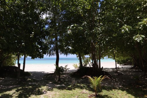 Découverte de la plage - Cote d'Or Beach Plage à Praslin