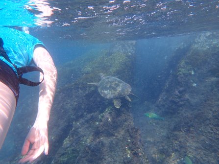 Snorkeling autour de l'île St. Pierre 