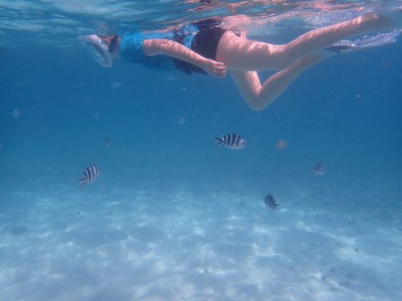 Snorkeling autour de l'île St. Pierre 