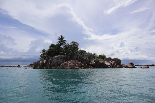 Snorkeling autour de l'île St. Pierre 