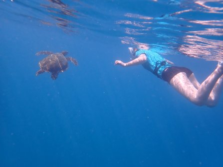 Snorkeling autour de l'île St. Pierre 