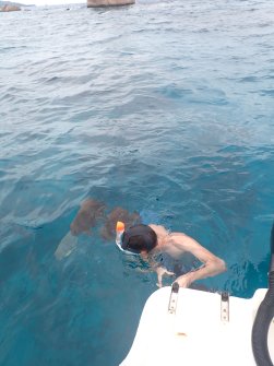 Excursion en bateau Coco Island, Grande-Sœur et Félicité 