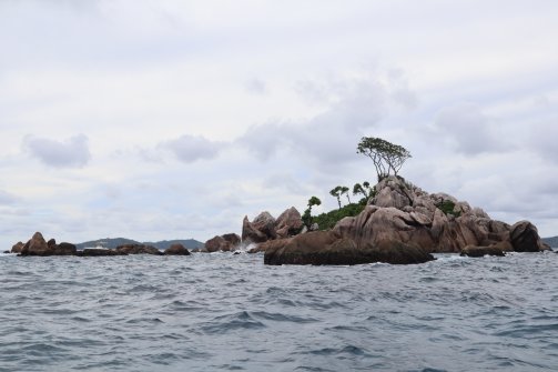 Excursion en bateau Coco Island, Grande-Sœur et Félicité 