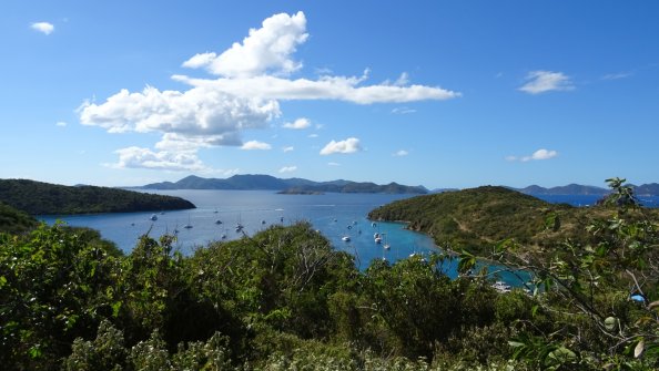 Sur le chemin de Money Bay - Norman Island 