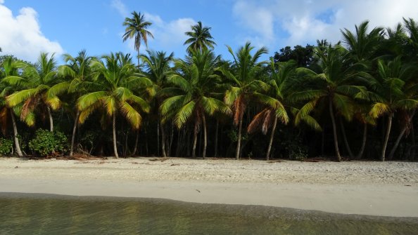 Smuggler's Cove Plage à Tortola Island