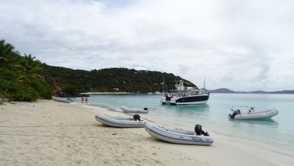 White Bay - Excursion à Jost Van Dyke 