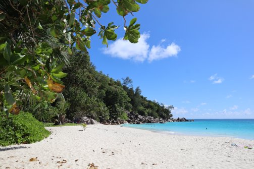 Magnifique plage - Anse Georgette Plage à Praslin