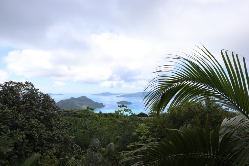 Vue à l'arrivée - Glacis Noire Nature Trail Parc National de Praslin